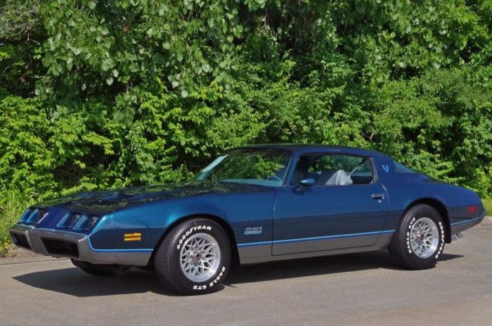 1979 Pontiac Firebird Formula 400 WS6