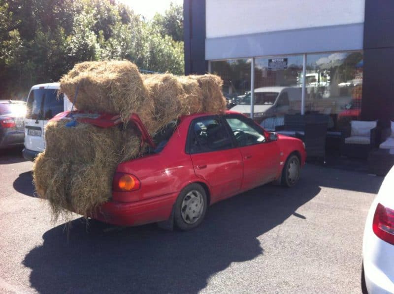 Transporting hay in your car is illegal in Australia